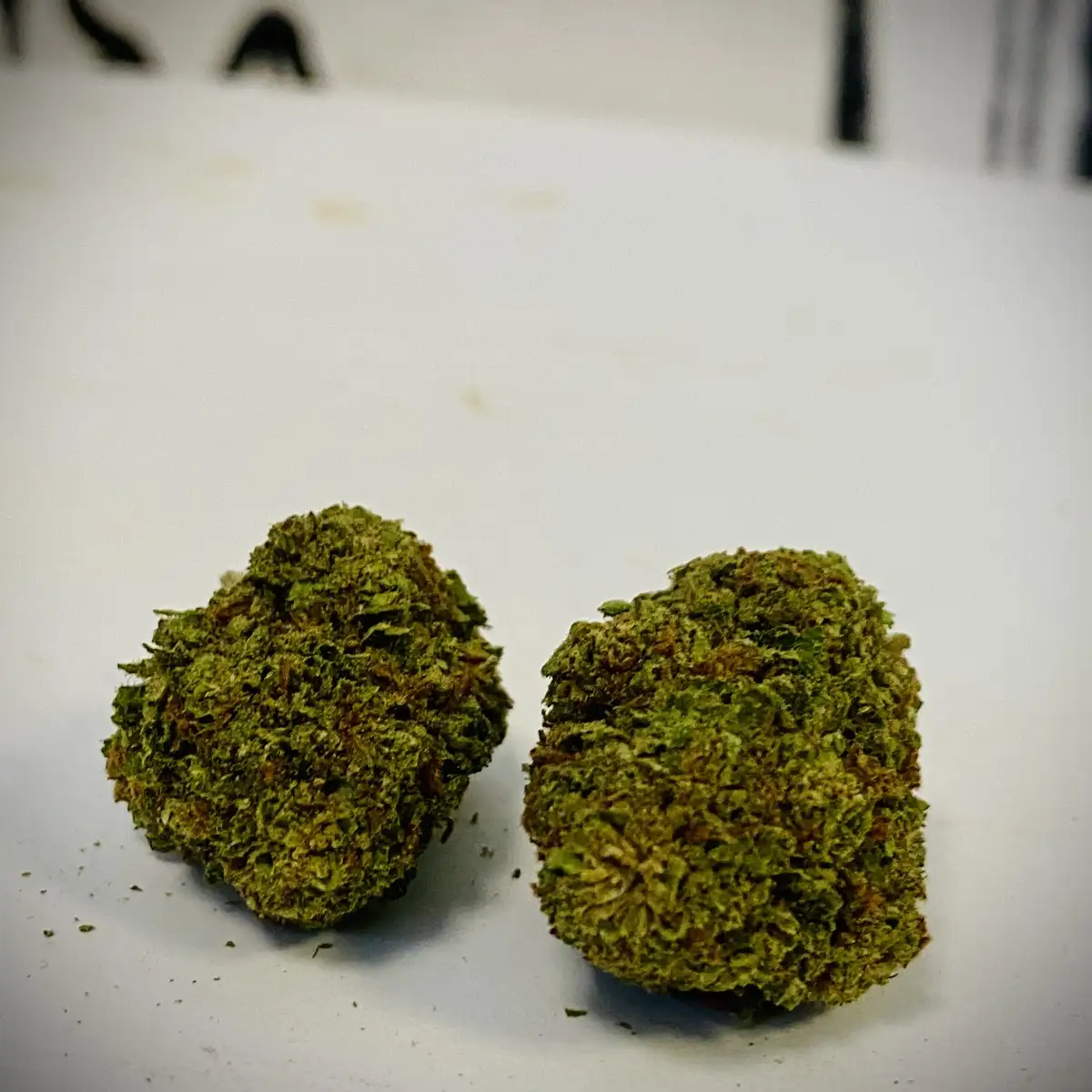 Gorilla Mandarine