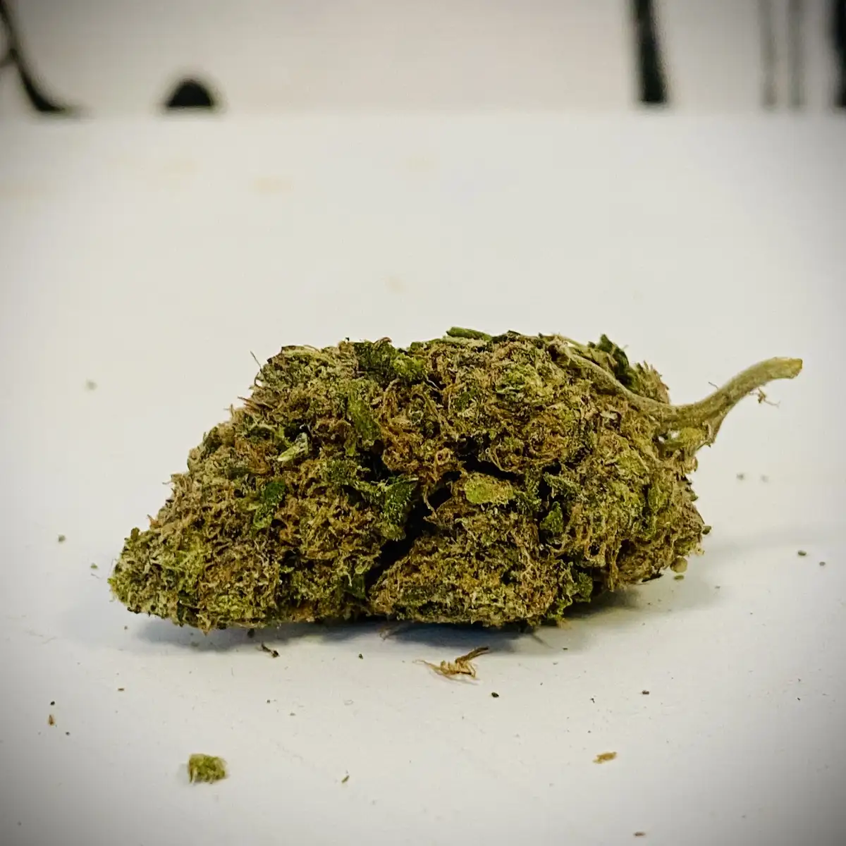 Big Bud